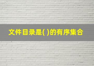 文件目录是( )的有序集合